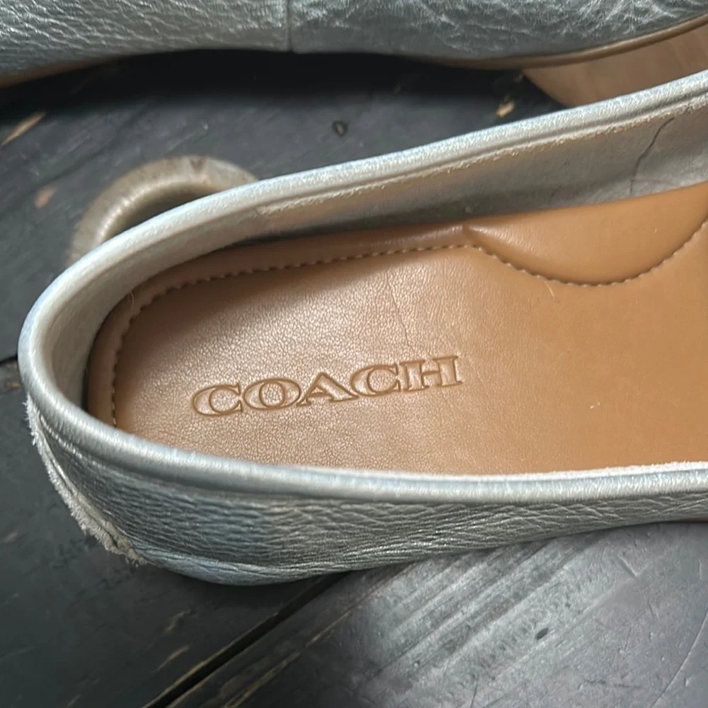 COACH Mary Lock Up Silver Loafers